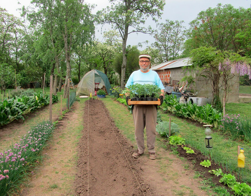 Huerta Orgánica Yerba Suelta
